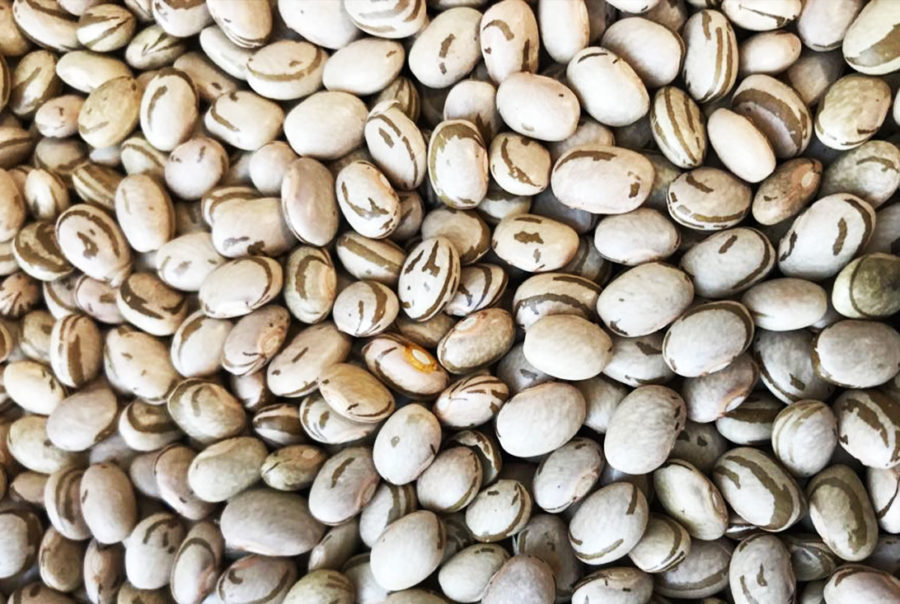 Carioca Beans
