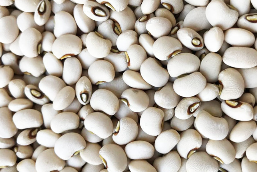 Jumbo Beans
