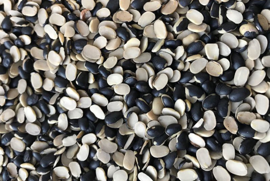 Split Black Beans