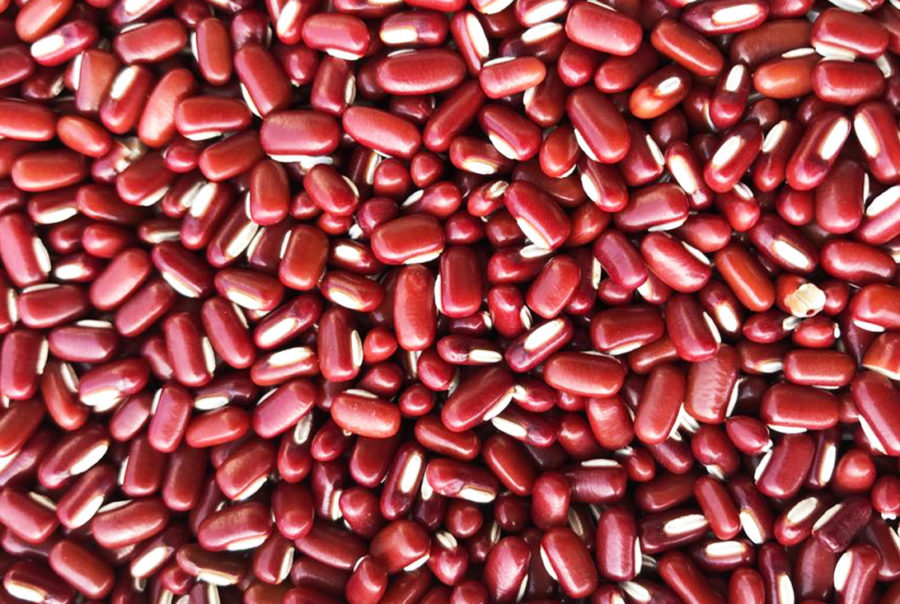Red Bamboo Beans