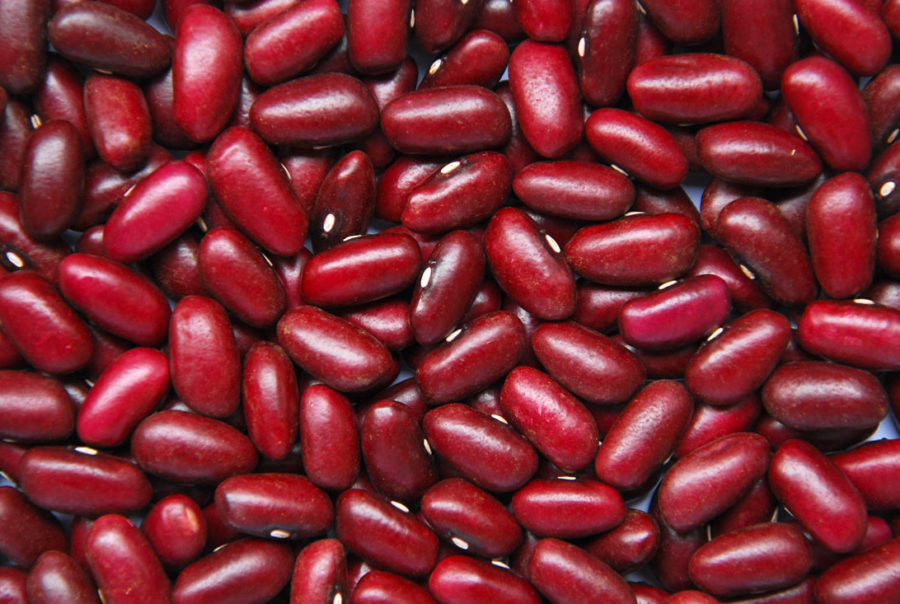 Dark Red Kidney Beans