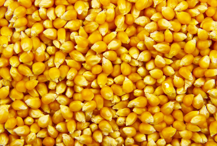 Popcorn